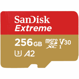 Memoria Extreme SD 256GB 160Mbs