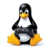 pinguino jugando