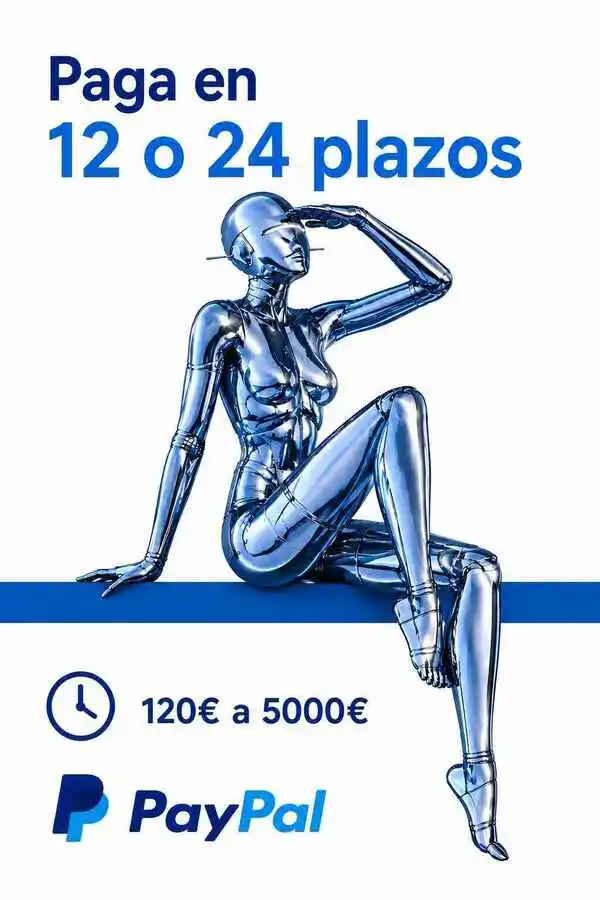Paypal-Plazos